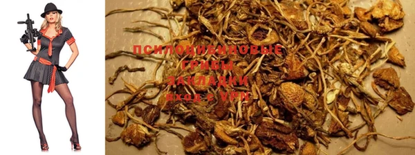 круглые Алексеевка