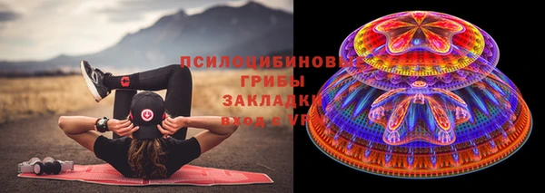 круглые Алексеевка