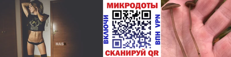 Псилоцибиновые грибы Magic Shrooms  Апшеронск 